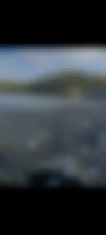 Plaisirsbi