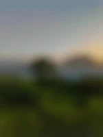 78300