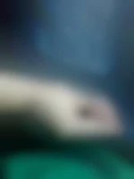 Couplebi30500