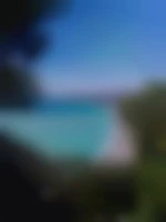Xxxx79
