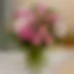 pourfemmemure5