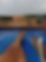 nunoalbi81