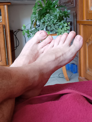 profil