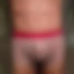 Boxer03100