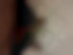 Sam3100