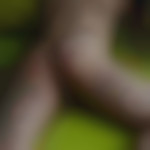 PassifBoQ