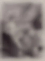 Astrolepetirobo