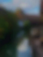 Moisex