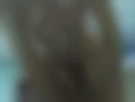 Leylla