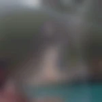 jorem69