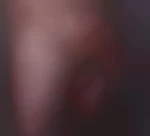 Bonpticul31