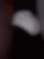 Elzo