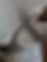 Luciano