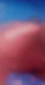 sexemec72