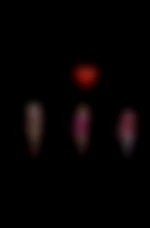 Trioexhibvoyeur