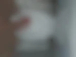 Ti_seb