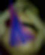 Photo de ArniK67