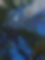 Skz77