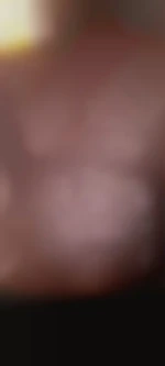 Syeph4550