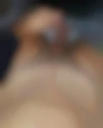 Bisecret17