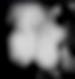 Photo de couplecokin