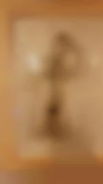 Matao56