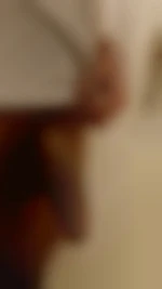 Photo de Alpha
