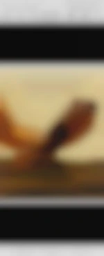 Mecsympa66