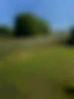 Ben60
