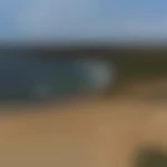 Yolateam