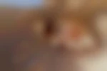 spotlib