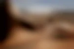 Zeb85