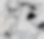 Solognotbi