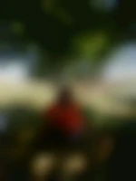 alinetransgenre