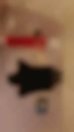 Jegurta