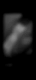 Bbz574