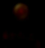 CoquinCoquine89
