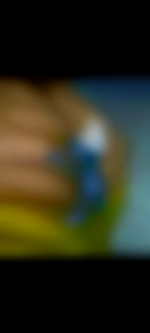 Chfemnaturist