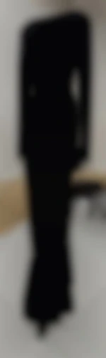 Dom2955