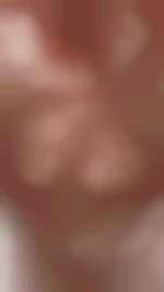 Sebi17