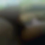 Chris_45240
