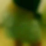 HoneyB