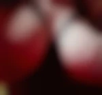 CumPlayWithMe