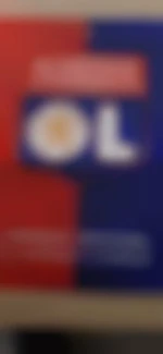 LeLyonnais69