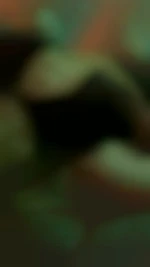 SR