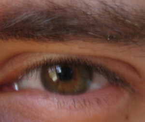 profil