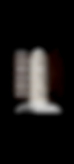 Lyonnaisdu69