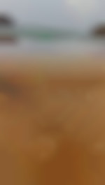 11131951