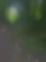 Helloyounow