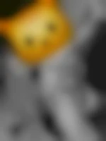 samsara8